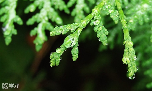 形容雨很大的句子發(fā)朋友圈