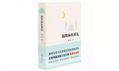 穆斯林的葬禮讀后感900字范文多篇