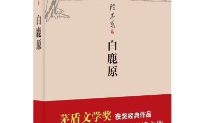 小說(shuō)白鹿原讀后感800字左右范文
