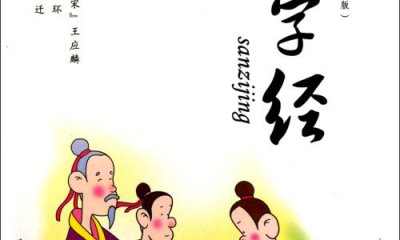 三字經(jīng)學(xué)生讀后感1000字左右范文
