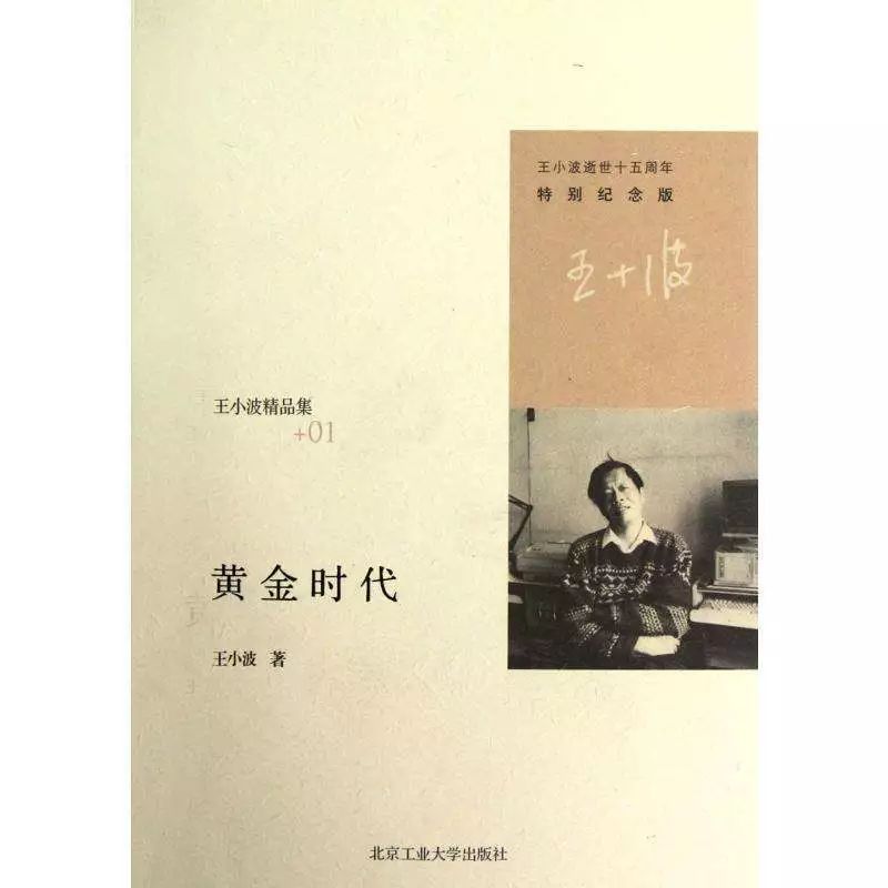 王小波:黃金時(shí)代【讀后感|讀書(shū)筆記|讀書(shū)心得|簡(jiǎn)介】