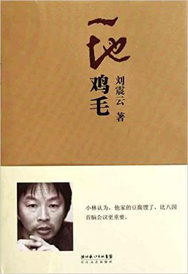 一地雞毛.jpg