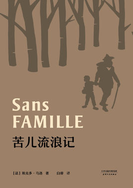苦兒流浪記.jpg