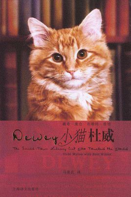 小貓杜威.jpg