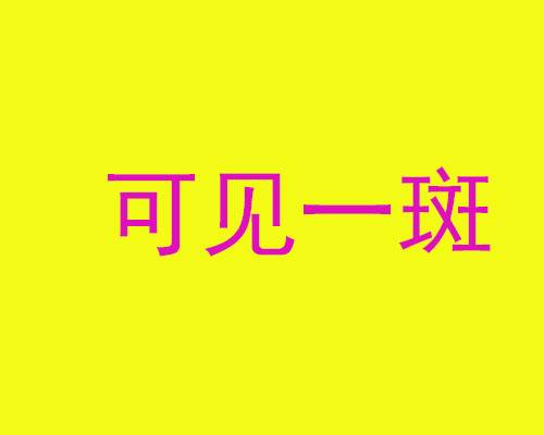 可見(jiàn)一斑.jpg