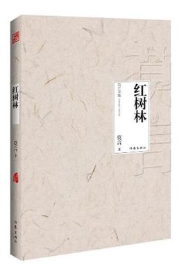 紅樹林.jpg