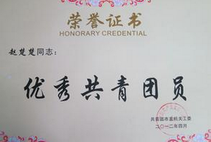 優(yōu)秀團(tuán)員.png