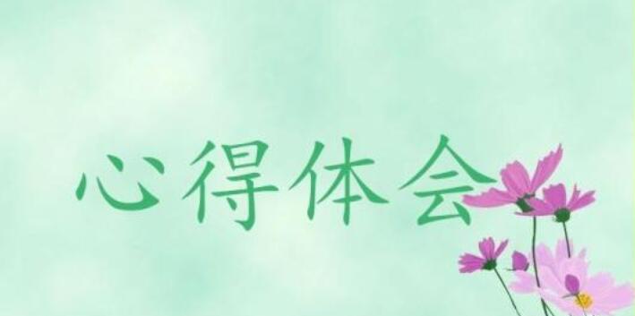 工作作風心得體會