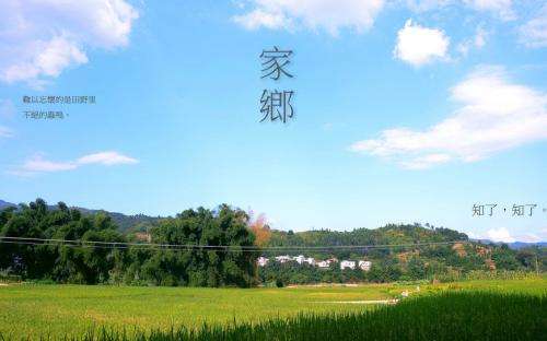 家鄉(xiāng)的小溪