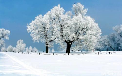 第一場(chǎng)雪.jpg