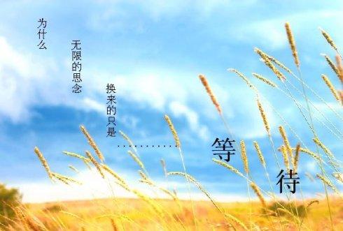 等待.jpg
