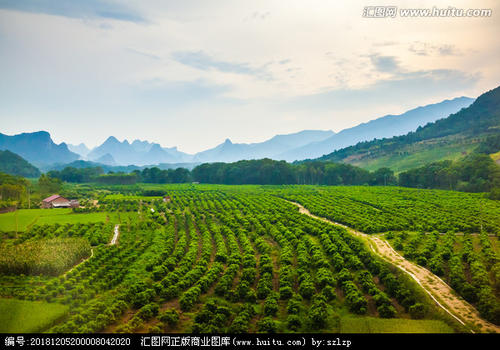 鄉(xiāng)村美景.jpg