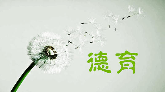 初中班主任德育論文