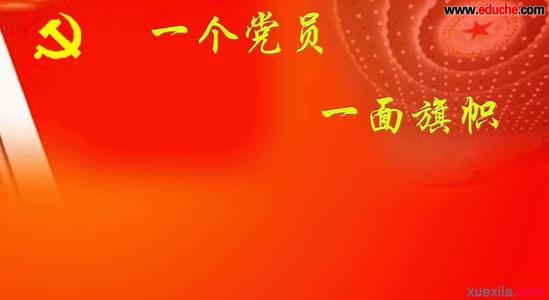 黨性分析材料2013