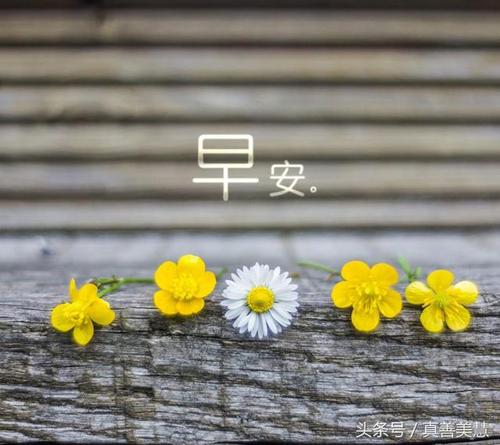 美好的一天.jpg