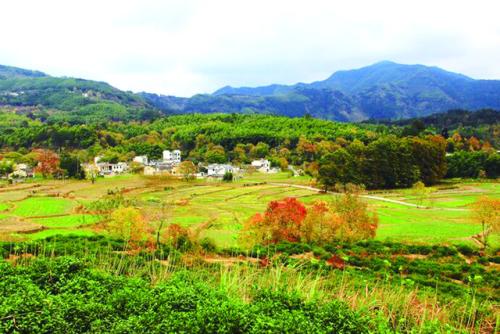 鄉(xiāng)村生活.jpg