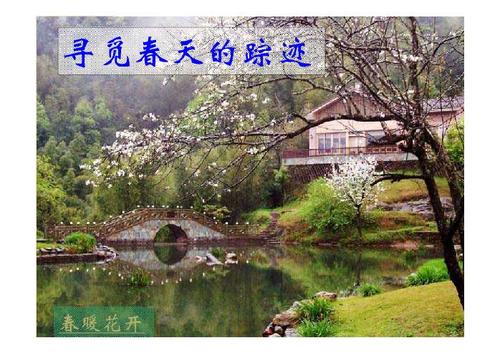 尋覓春天的蹤跡.jpg
