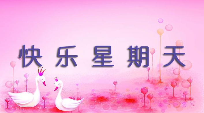 難忘的星期天作文