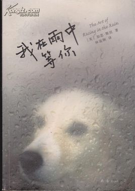 我在雨中等你.jpg
