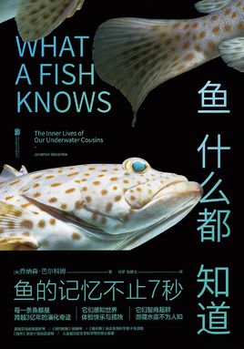 魚什么都知道.jpg