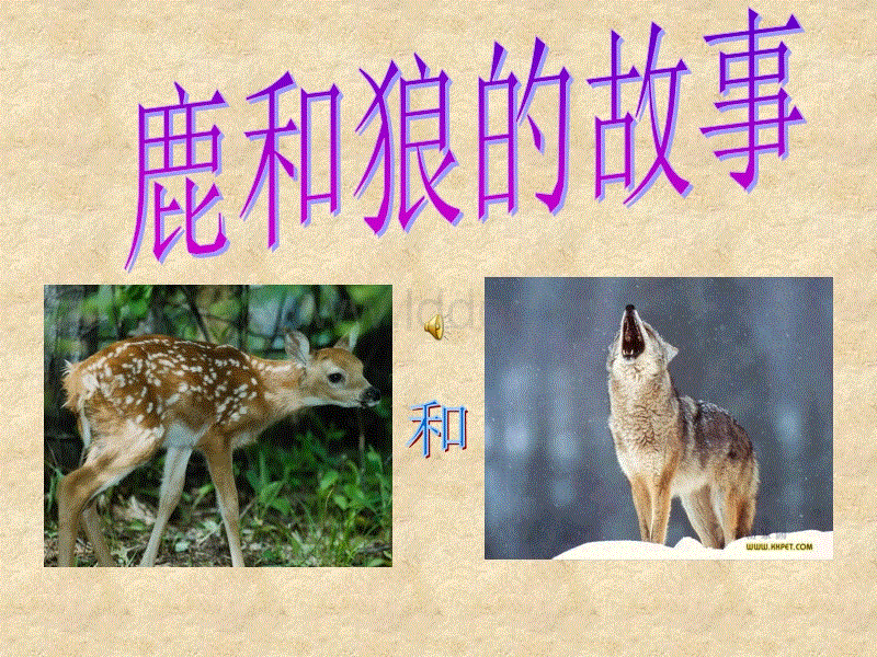 狼和鹿的故事.jpg