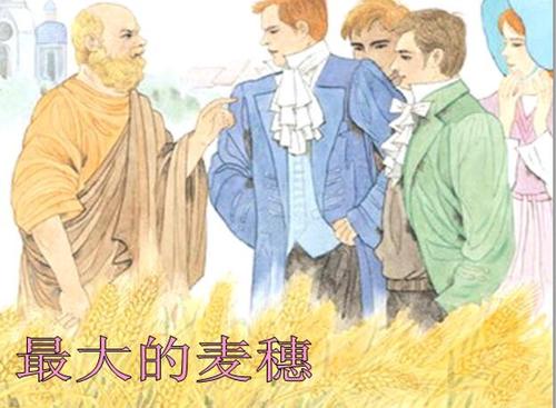 最大的麥穗.jpg