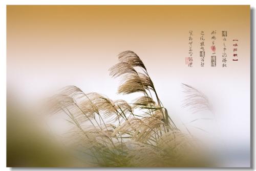 疾風知勁草.jpg