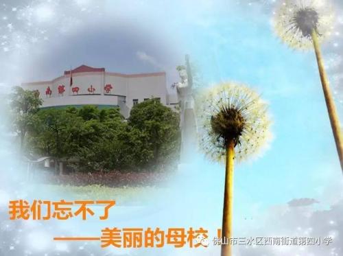 感謝母校作文