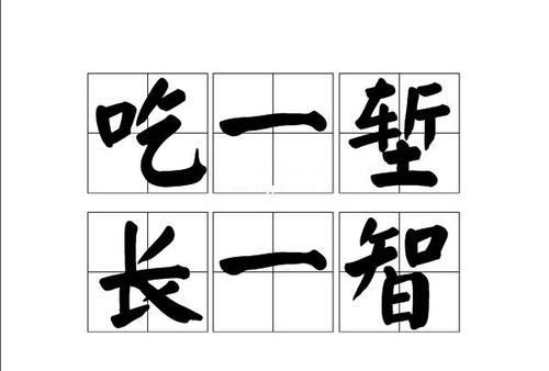 吃一塹長(zhǎng)一智議論文