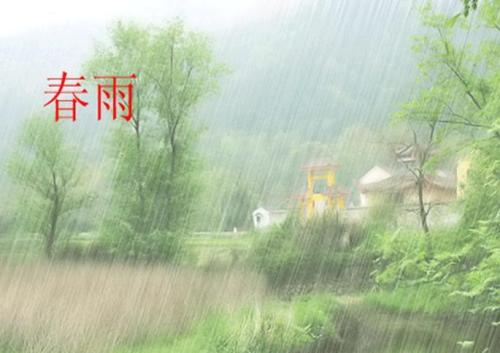 春雨作文400字