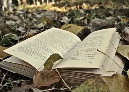 書(shū)籍是全世界的營(yíng)養(yǎng)品
