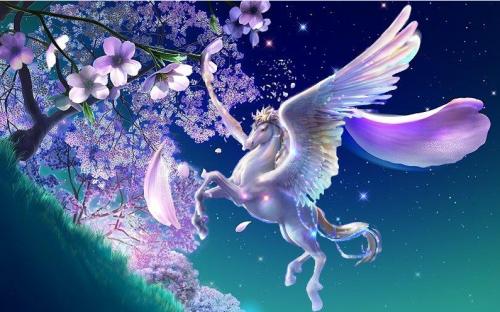 天馬行空.jpg