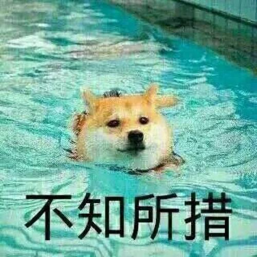 不知所措.jpg