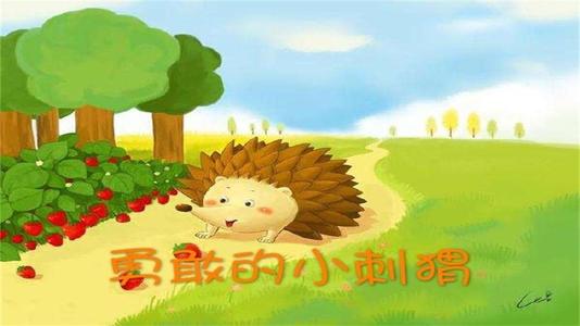 勇敢的小刺猬.jpg
