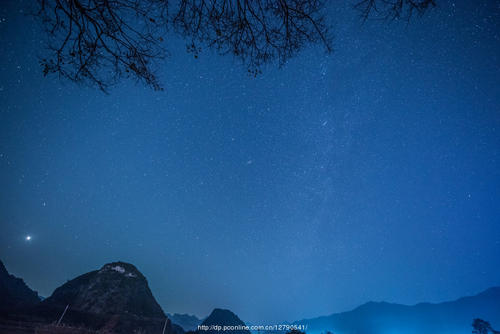 今夜星光燦爛作文