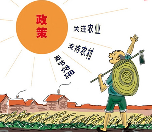 三農(nóng)問題調(diào)查報告