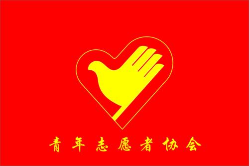 青年志愿者活動總結