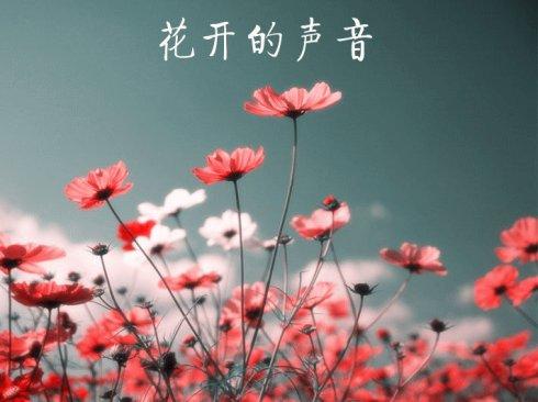花開(kāi)的聲音.jpg