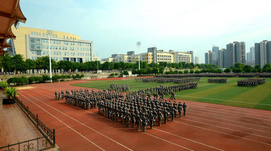 軍訓作文500字