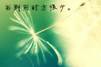 書到用時(shí)方恨少作文