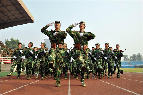軍訓感言500字