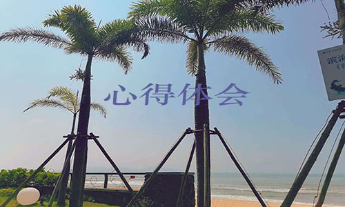 羅密歐與朱麗葉讀書心得1000字
