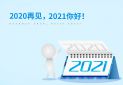2020再見2021你好優(yōu)秀作文5篇