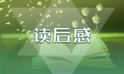 小說《鋼鐵是怎樣煉成的》讀后感