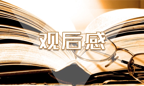 抗美援朝電影《長(zhǎng)津湖》觀后感范文