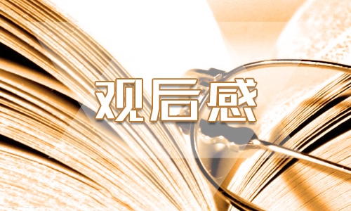 《長(zhǎng)津湖》電影觀后感500字6篇