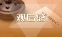 《我和我的父輩》觀后感感想