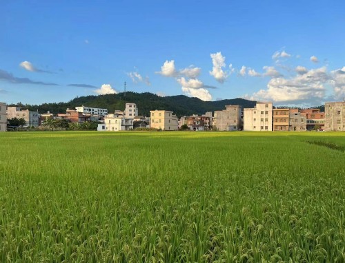 十大家庭教育經(jīng)典書(shū)籍